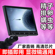 高清显微镜液晶显示屏幕 通用5寸7寸9寸检测仪拍照储存连电脑手机