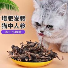 冻干鹌鹑猫咪发腮磨牙洁齿宠物人参补钙营养猫零食增肥成幼年猫粮