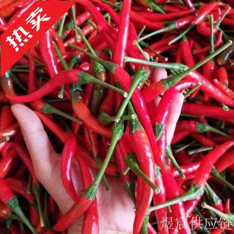 现摘特辣小米椒新鲜朝天椒指天椒剁椒蔬菜红辣椒小米辣鲜椒直发