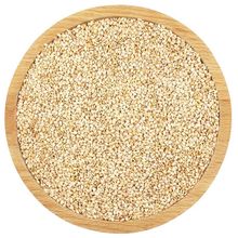 新鲜带皮白芝麻25kg/50斤包邮 出口级生白芝麻商用榨油免洗芝麻粒