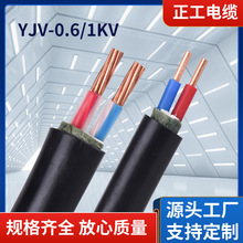 工厂批发低压电力电缆力铜芯YJV-0.6/1kV2芯重庆四川贵州电线电缆