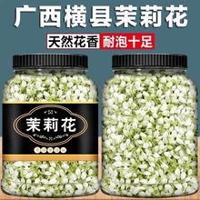 新鲜茉莉花 茉莉干花蕾 花茶莉花苞茶叶浓郁爽口茉莉花茶工厂发