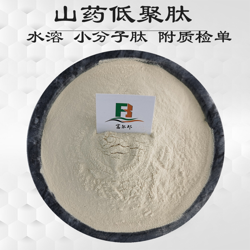 接骨木果粉 接骨木果提取物 接骨木粉 接骨木莓提取物 接骨木莓