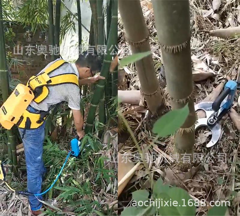充电式电动伐竹工具,适用于绵竹,慈竹等质地偏软的,直径8公分以内竹子