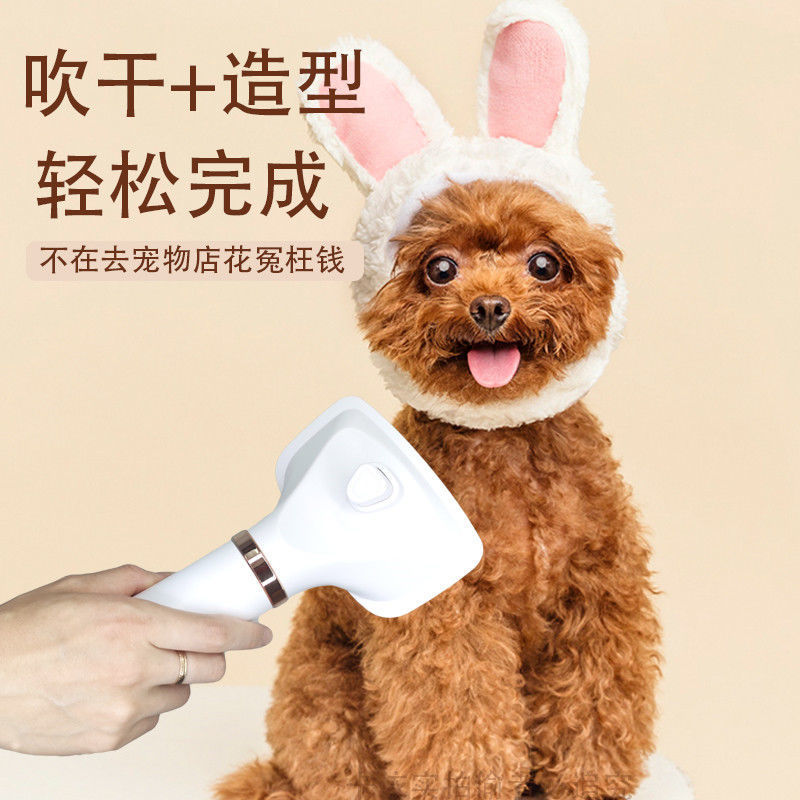 Dog Hair Dryer Pet Blowing Napping Blowing Combs Roller Raising Machine One Teddy Blowing Hair Comb Special One Wholesale