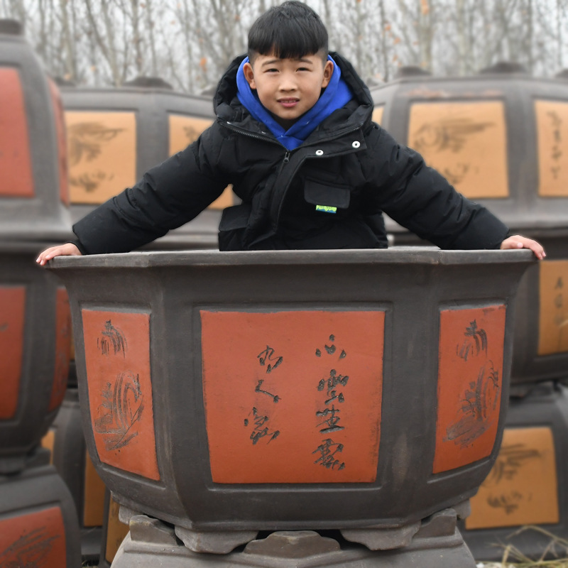 网红花盆大号特大号超大室外清仓六方紫砂高款三角梅种树花盆特深