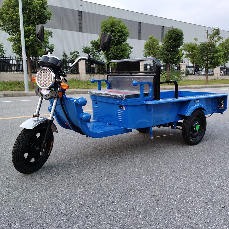 电动三轮车代步车摆摊小平板车新款家用电瓶三轮车快递货运拉货车