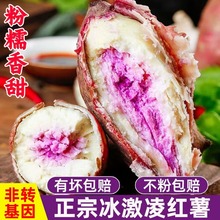 冰淇淋紫心番薯10斤蔬菜薯番沙地红薯新鲜红蜜薯地瓜超甜板栗红薯