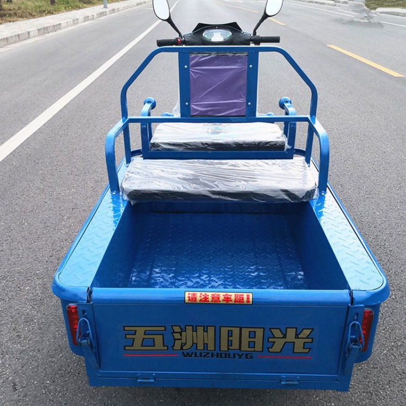 电动三轮车货车新款家用电瓶三轮车成人代步车载重小货运平板包邮