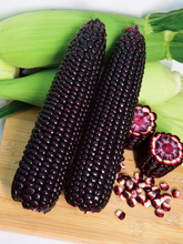 Black Sweet Glutinous 168 Corn Seeds Fruit Corn Seeds High跨