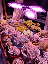 6GE6全光谱led植物补光灯折叠变形生长灯自然光块根绿植E
