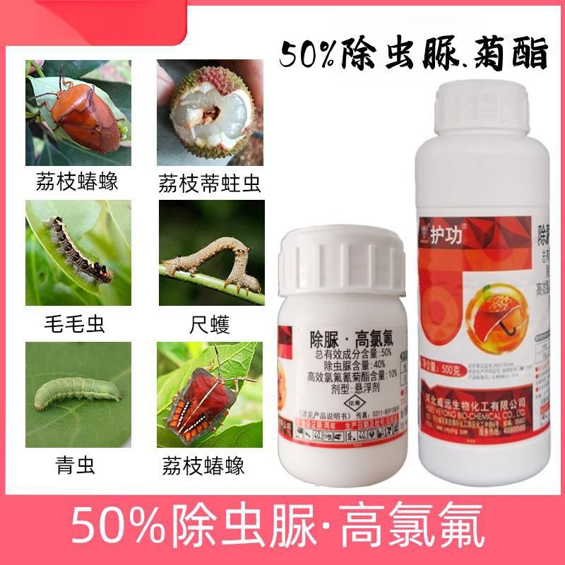 点击查看大图