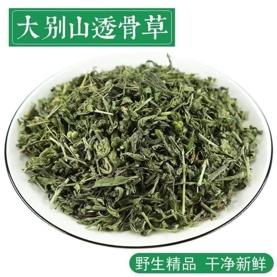 中药材珍珠透骨草透骨草珍珠透骨草珍珠透骨草大皂角包邮五味子