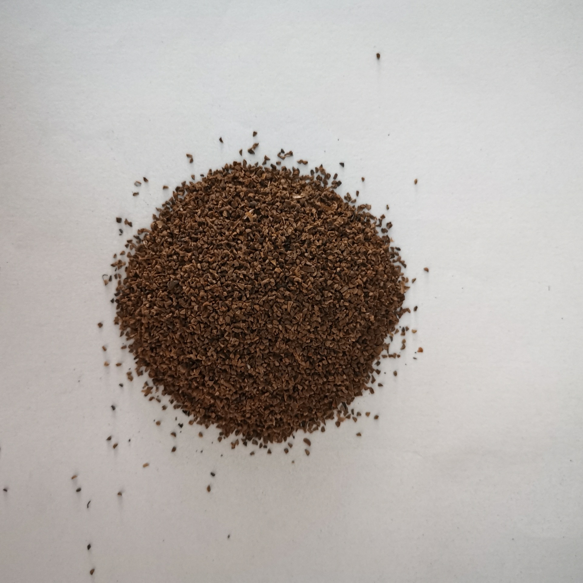 秋播花种子四季种吊钟柳种子阳台盆栽易种春季种宿根景观花卉花草