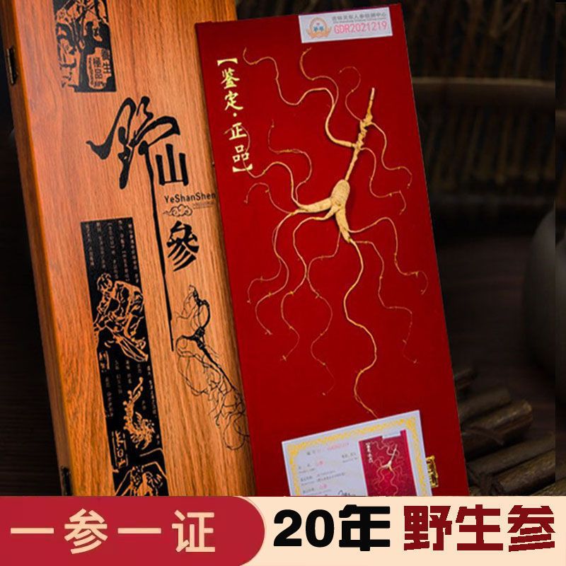 包邮人参野山参长白山野生人参林下参千年礼盒装20野山参泡酒煲汤