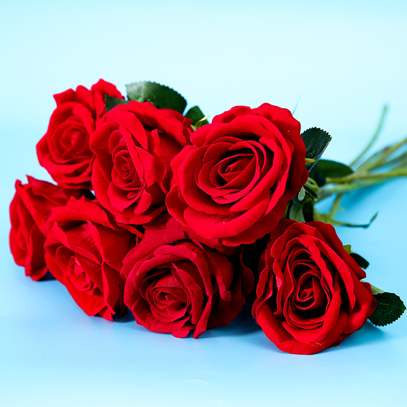 情人节香槟玫瑰花