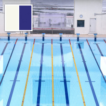 双鸥专业工厂防滑蓝色体育健身馆学校比赛竞赛水池专用游泳池瓷砖
