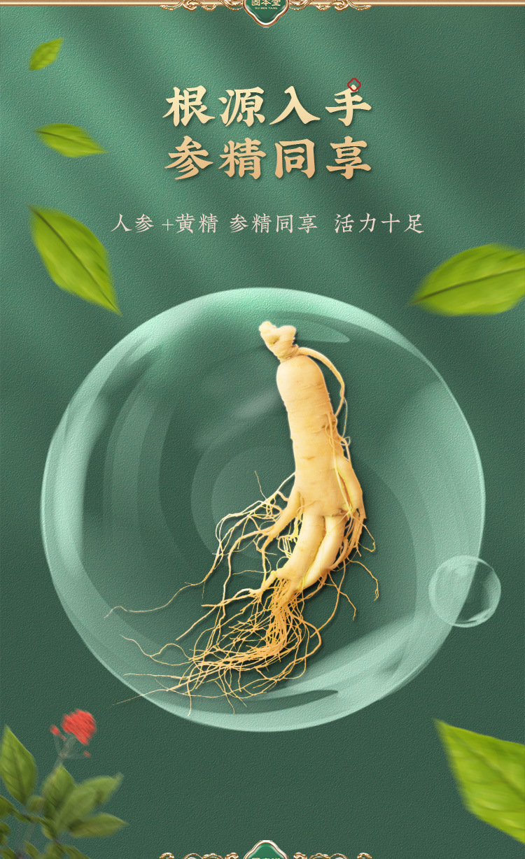 固本堂人参八宝茶饮品春茶男士持久枸杞茶男肾精杜仲茶盒装150g