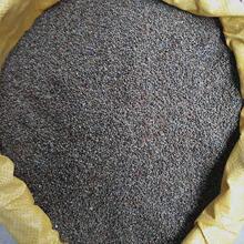 2024年新货贵州酥麻引子农家种油性黑苏麻子特产糍粑汤圆馅料500g