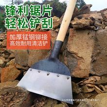 地面清洁铲子雪铲工具铲粪神器猪粪鸡屎刮粪清粪鸽粪养殖场推粪板