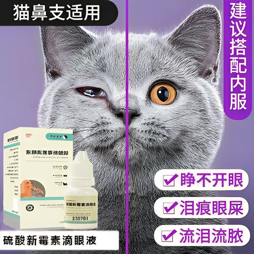 宠物门店狗宠物眼药水狗狗兔猫鼻支流脓流泪眼药水抗炎菌消滴眼液