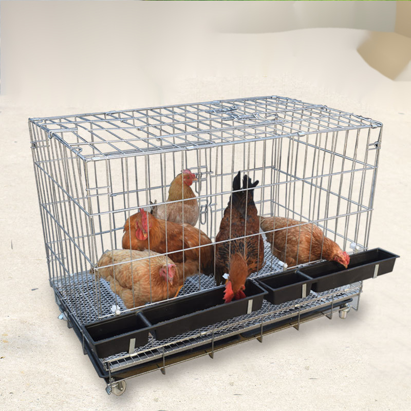 鸡笼养鸡家用大号特大笼鸡鸭养殖笼狗笼加粗加密兔笼子折叠子代发