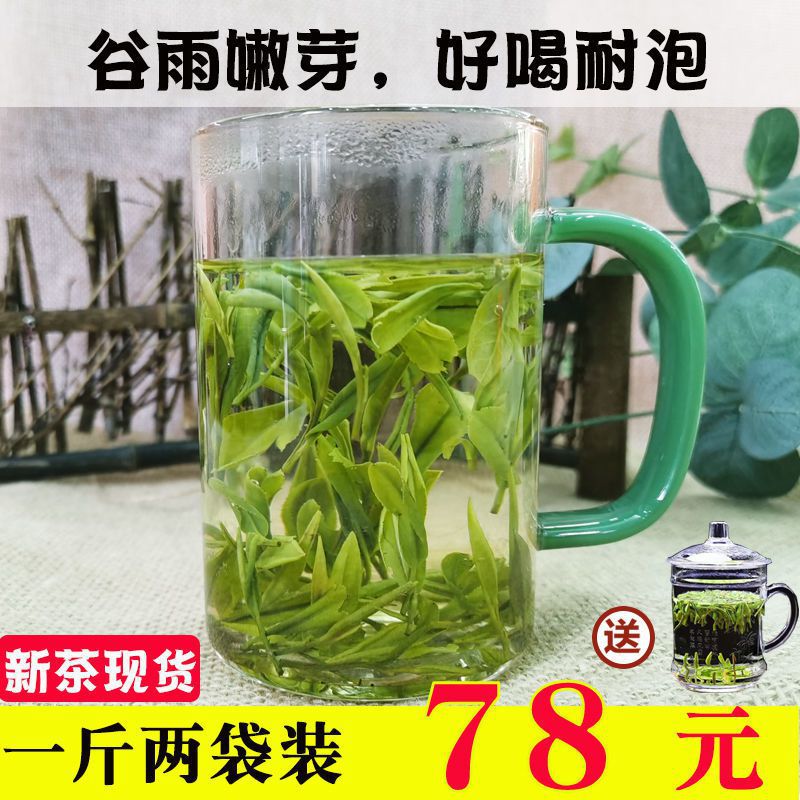 霍山黄芽2023新茶雨前春茶高山嫩芽黄茶浓香安徽毛尖500散装茶叶