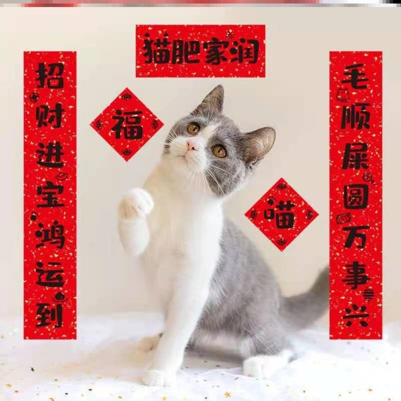 趣味猫窝狗窝对联宠物猫砂盆猫厕所春节对联猫肥家润不干胶