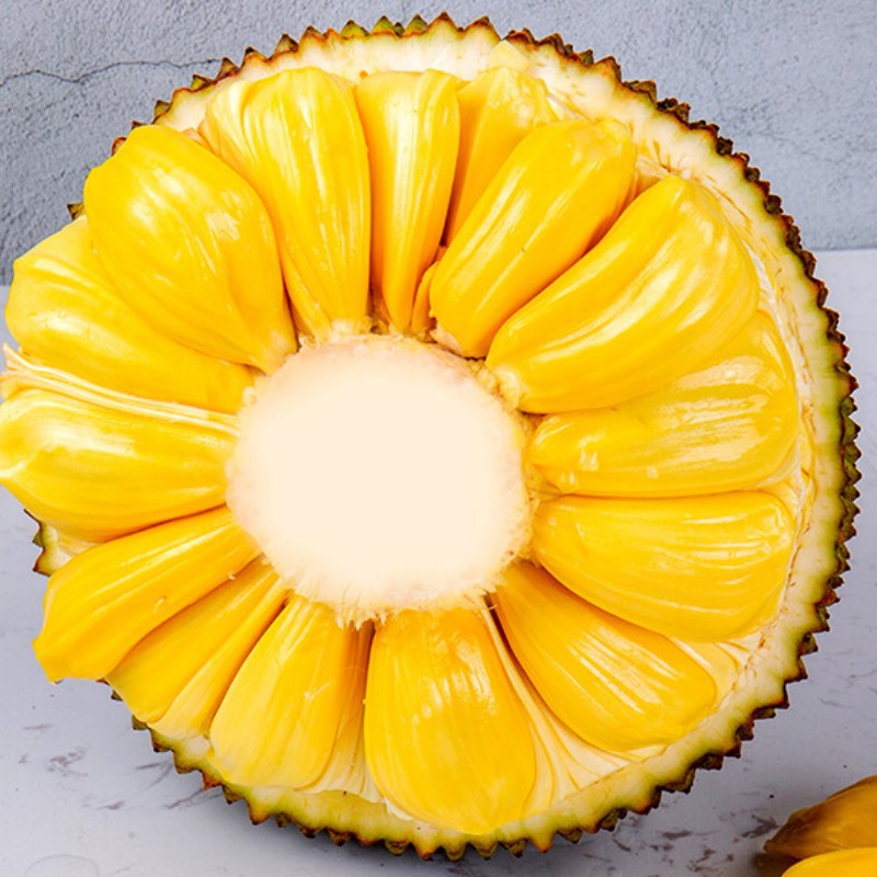 海南三亚老树黄肉菠萝蜜新鲜水果木波罗蜜当季15-40斤一整个批发