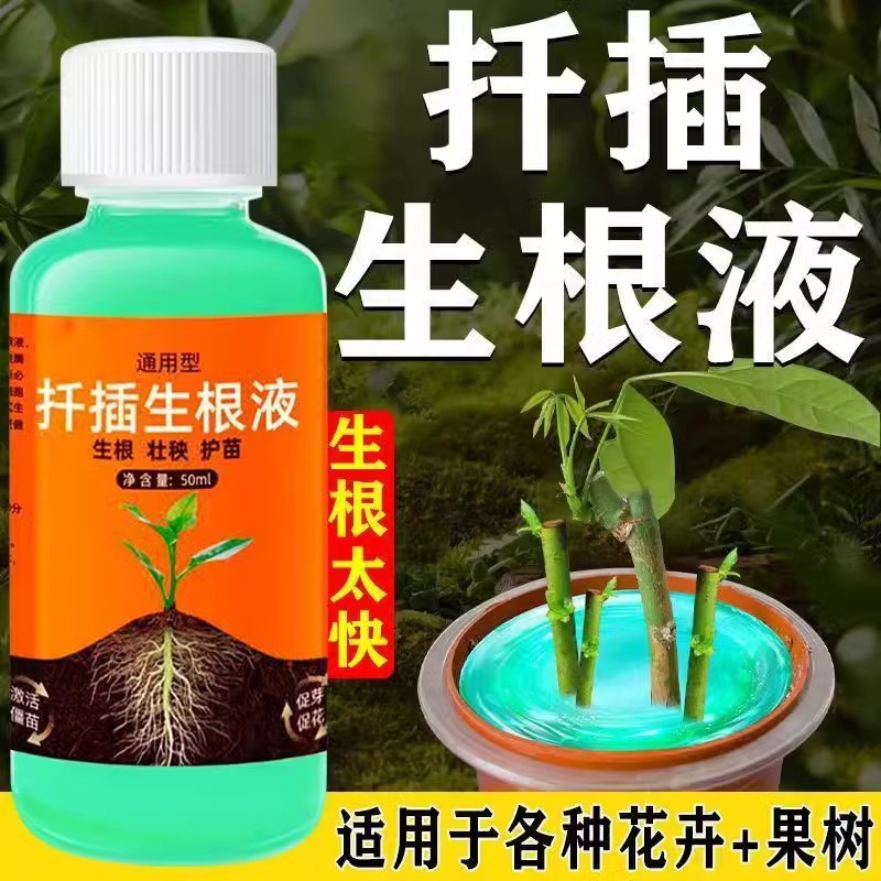 扦插生根液通用型月季长寿花家庭园艺植物花卉果树枝条快速生根剂
