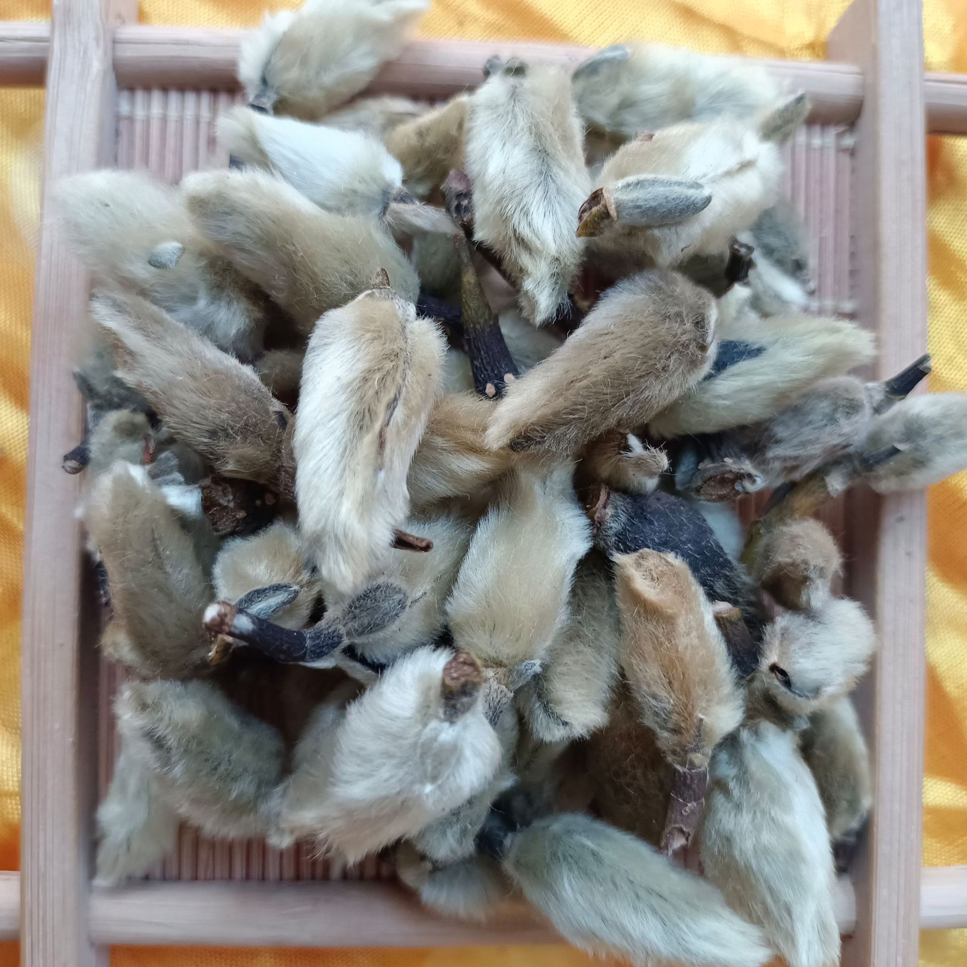 辛夷花中药材批发 望春花中草药辛夷毛果【文杰药业】【辛夷花】