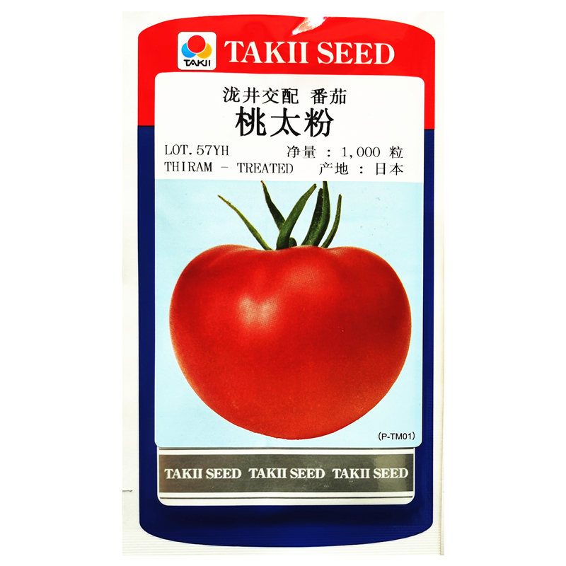 泷井交配桃太郎番茄种子桃太粉 可供应蔬菜种子