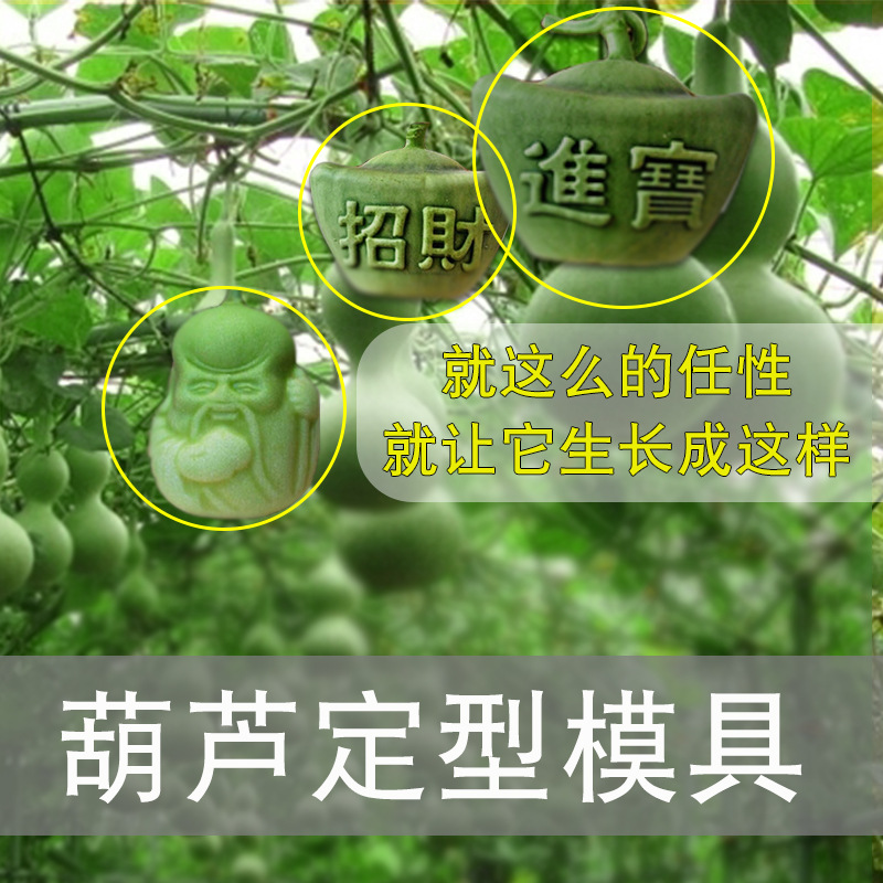 批发葫芦生长定型范制艺术葫芦模具迷你手捻亚腰葫芦模具套模模具