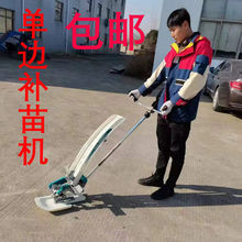 小型单行水稻补苗插秧机电动补边机补苗机背负手扶推式耕种机械