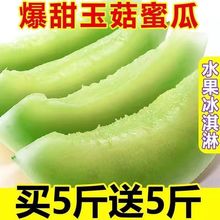 玉菇甜瓜蜜瓜10斤新鲜水果当季脆玉茹香瓜哈密瓜羊角蜜2/10斤整箱