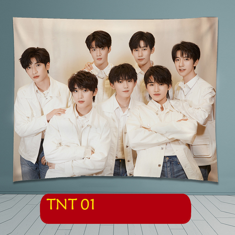 时代少年团tnt背景布居家装饰宝宝绒布艺海报追星女孩一件代发