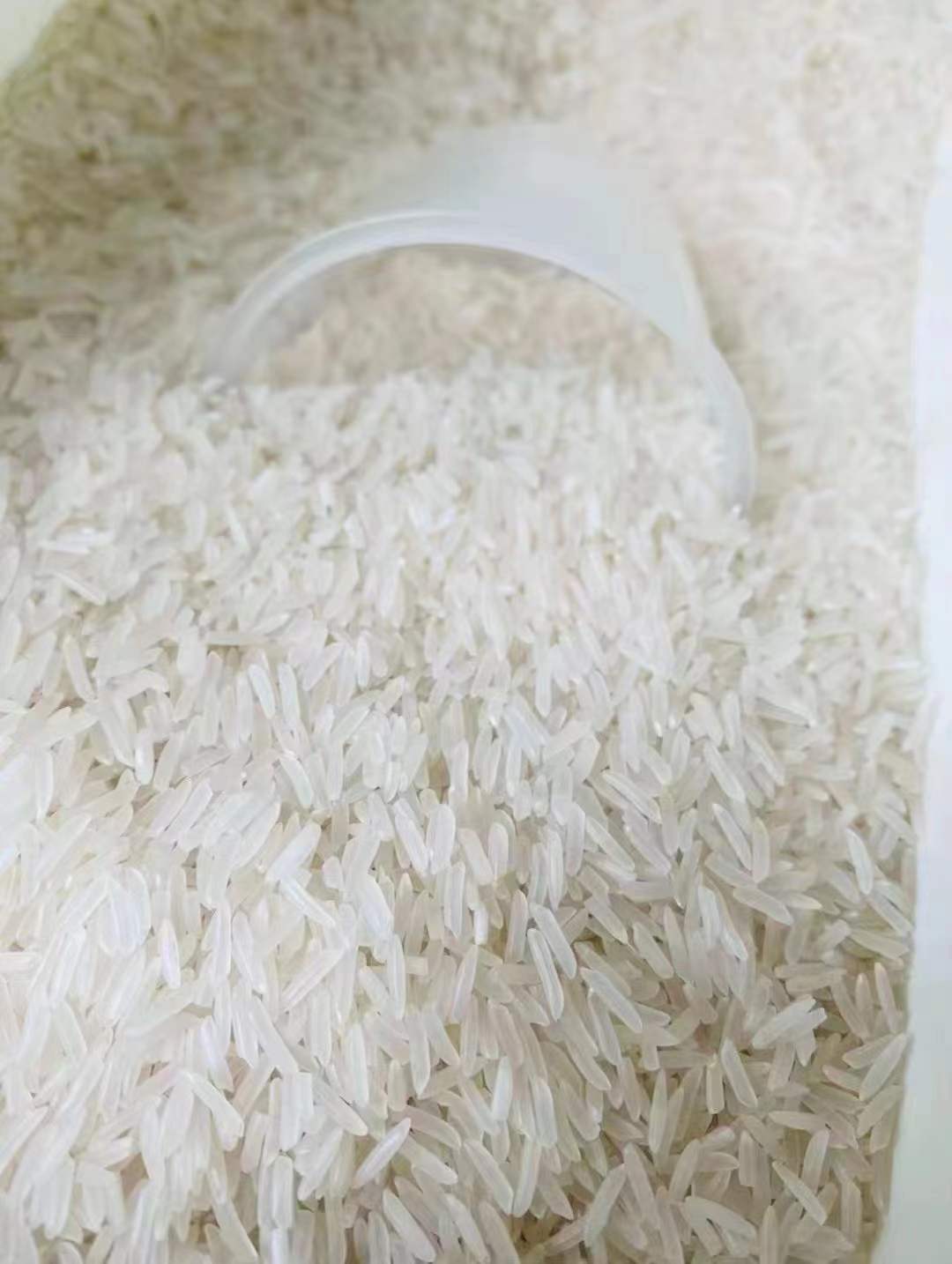 广东特产梅州农家米 蕉岭大米 丝苗米 食用富硒米 10斤包邮-阿里巴巴