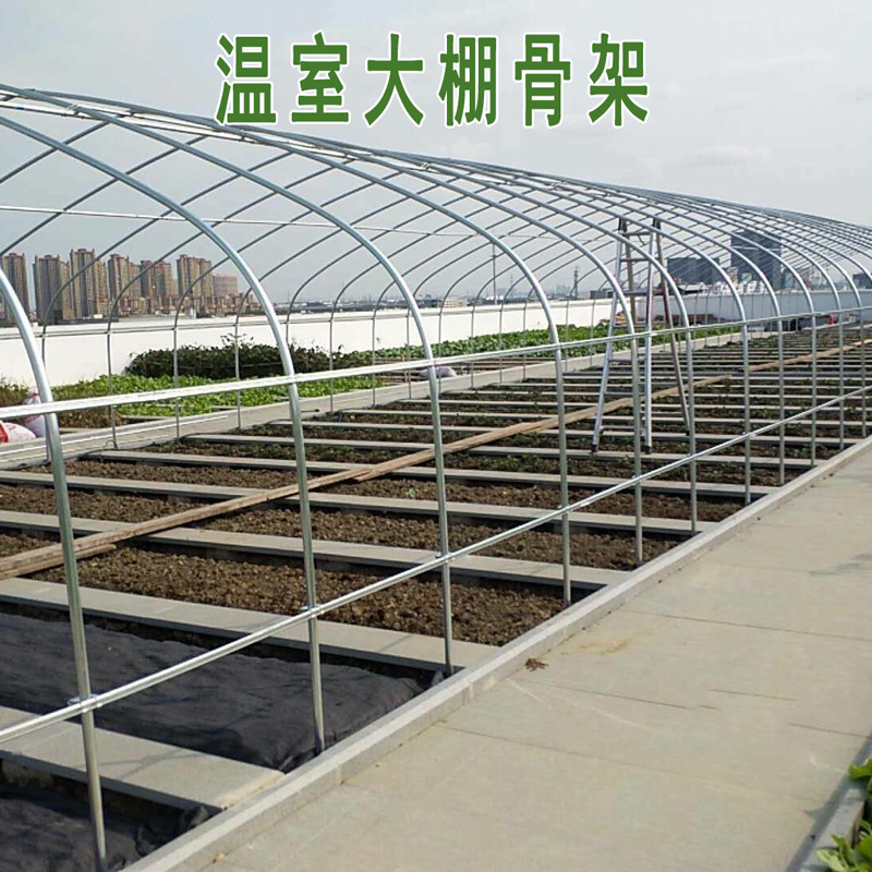 农业蔬菜大棚骨架