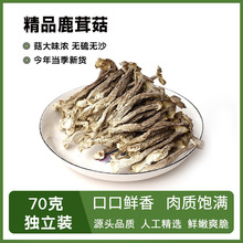 鹿茸菇鹿茸菌干货70g云南特产无添加农产品菌类营养菇干香菇煲汤