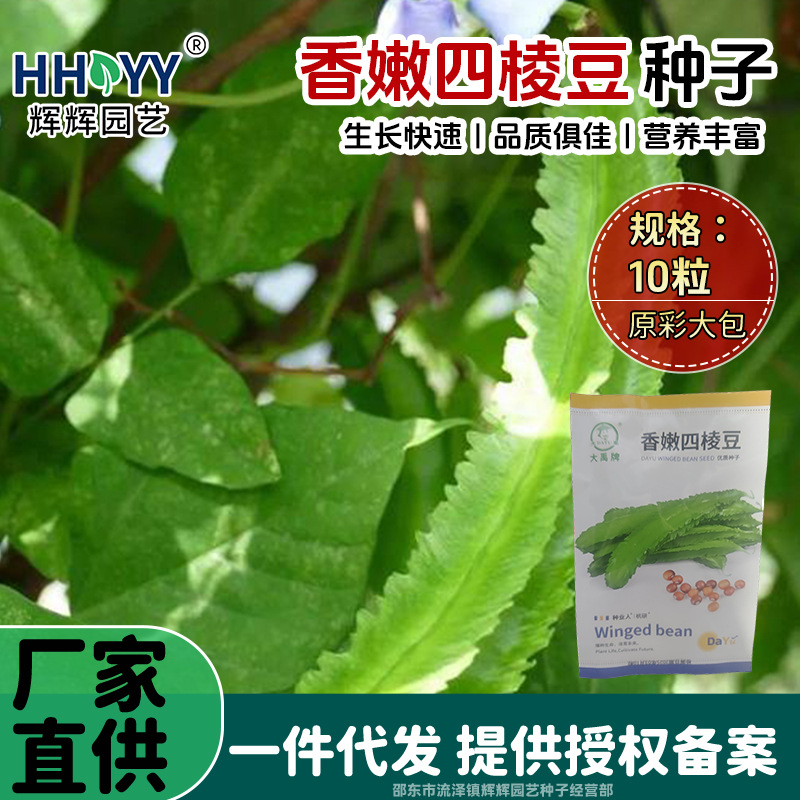 现货批发香嫩四棱豆种子四边菱豆种子四角豆皇帝豆种菜园蔬菜种子