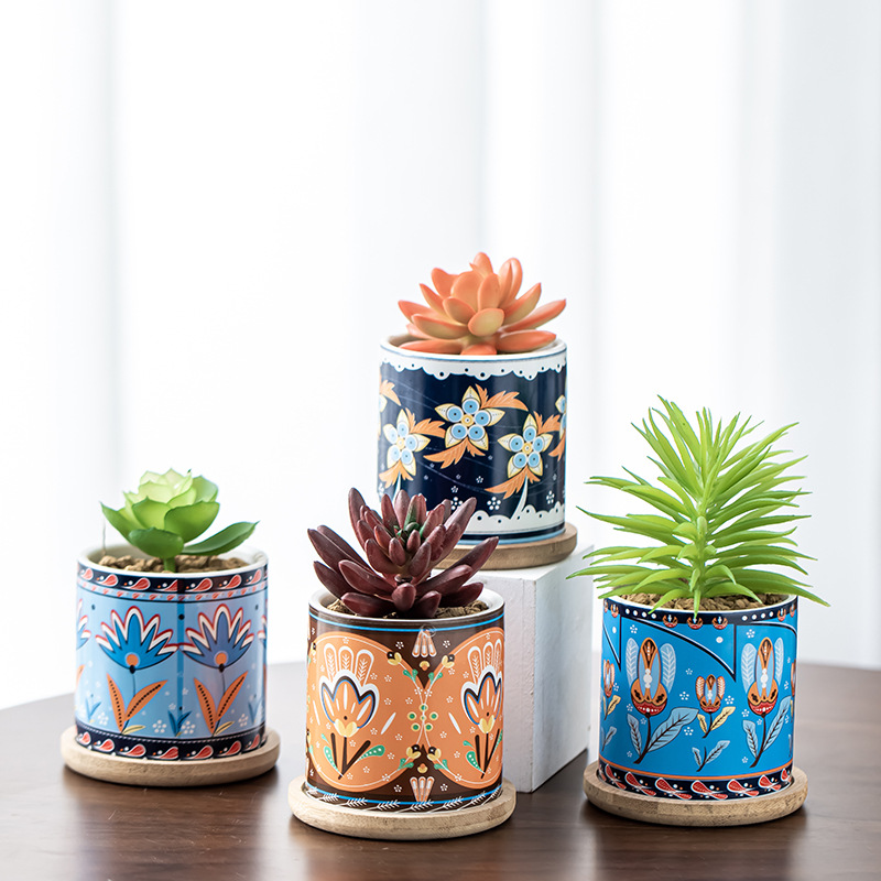 Suopin Foreign Trade Export Flower Pot Cross-Border E-Commerce Exclusive Nordic Flower Pot Cartoon Succulent Pot with Packaging Flower Pot