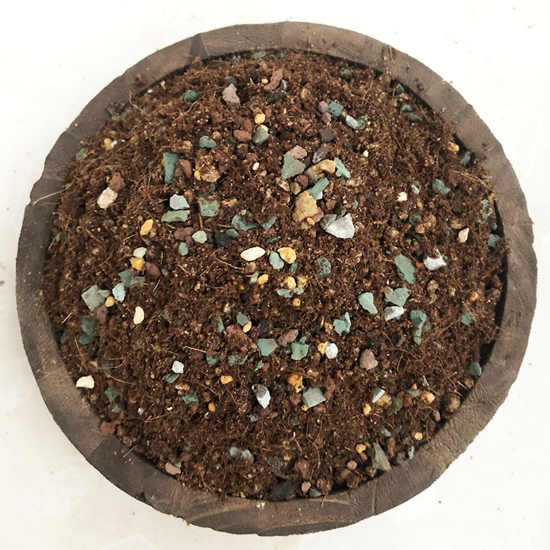 多肉植物营养土泥炭土多肉土叶插换盆土肉肉专用土多肉颗粒土包邮