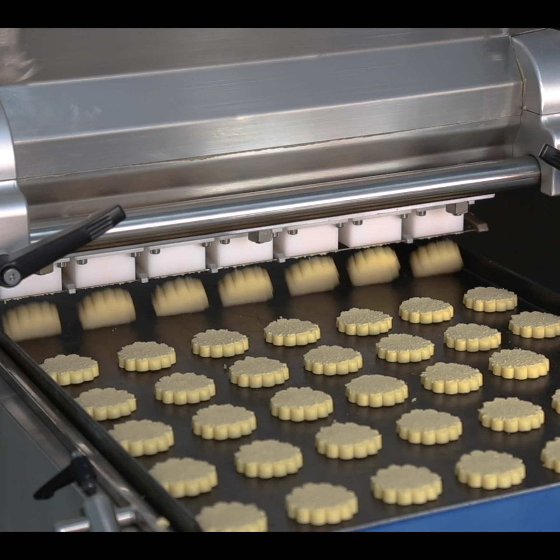 0成交0台菊花瓣曲奇挤花机伺服双色糕点机上海小型曲奇饼干机合强厂家