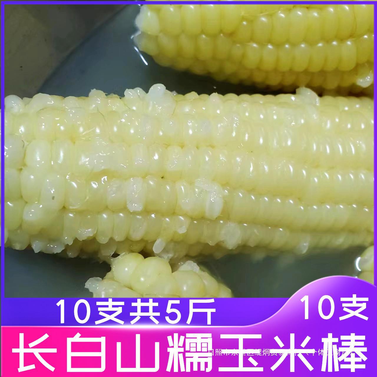 糯510白玉米支黏长白山斤速冻糯玉米玉米棒糯玉米东北玉米速冻