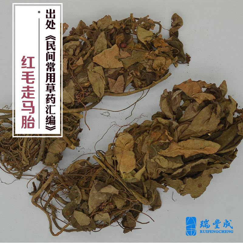 250克 药材 红毛走马胎(毛青杠 红毛针老虎舌虎舌红红毡草)四川