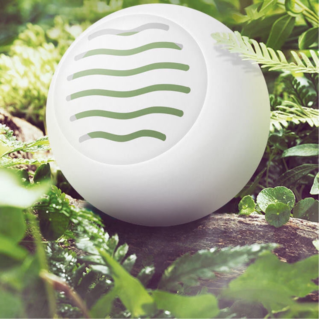 鞋子除臭球除臭丸衣柜祛除味球鞋柜增香清香防臭除菌神器吸异味用