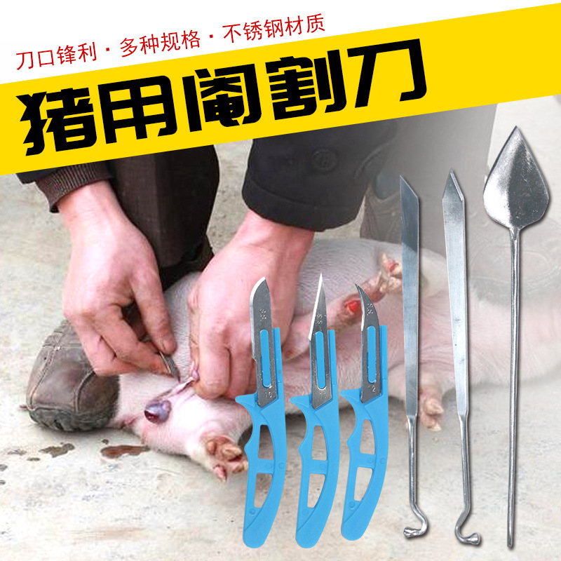 兽用阉割刀小手术刀猪用阉割去势刀迷你阉猪刀迷你猪用阉割刀