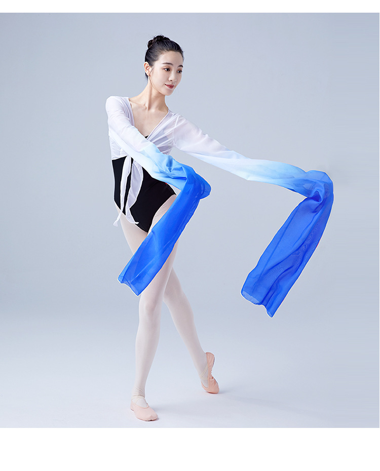 水袖练功服成人舞蹈惊鸿舞古典演出服藏族戏曲女士渐变甩袖上衣女