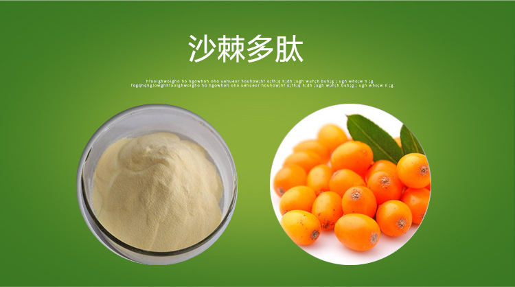 沙棘多肽98% 沙棘肽 沙棘小分子肽 速溶全溶 沙棘提取物