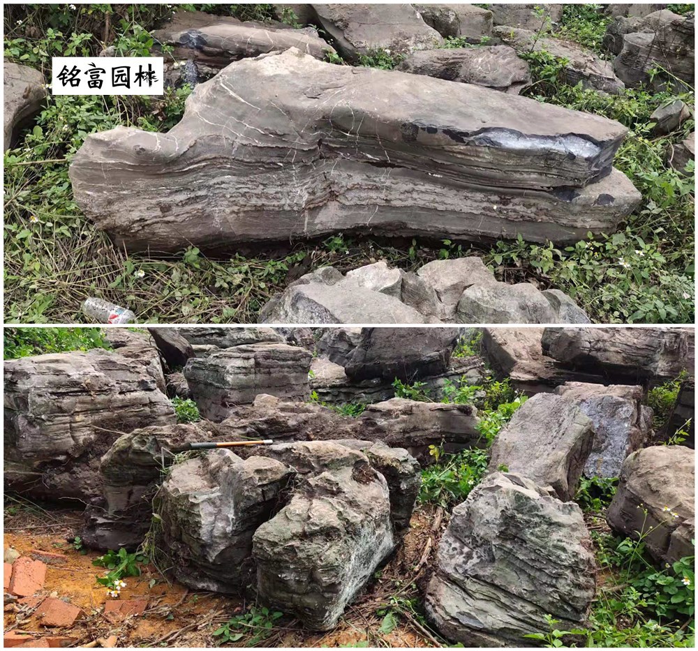 千层石的特点是什么千层石什么价格灰色千层石产地在哪里